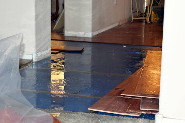 Professional Flood Cleanup technician working in Cranston, RI